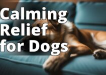 The Ultimate Guide To Cbd Oil Benefits For Pain Relief In Dogs