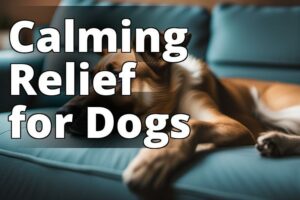 The Ultimate Guide To Cbd Oil Benefits For Pain Relief In Dogs