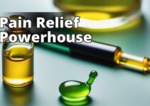 Cbd Oil For Pain Relief: The Ultimate Guide You Need