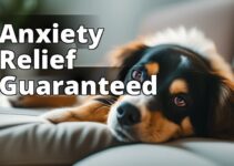 Cbd Oil: Your Dog’S Natural Solution For Anxiety And Stress