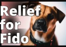 Cbd Oil Benefits For Dog Ear Infections: How To Naturally Soothe And Heal Your Furry Friend’S Ears