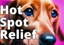 Cbd Oil For Hot Spots In Dogs: A Natural Solution For Pet Care