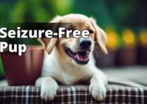 Unleashing Relief: How Cbd Oil Benefits Seizures In Dogs