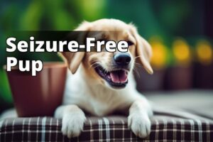 Unleashing Relief: How Cbd Oil Benefits Seizures In Dogs